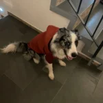 Ronja