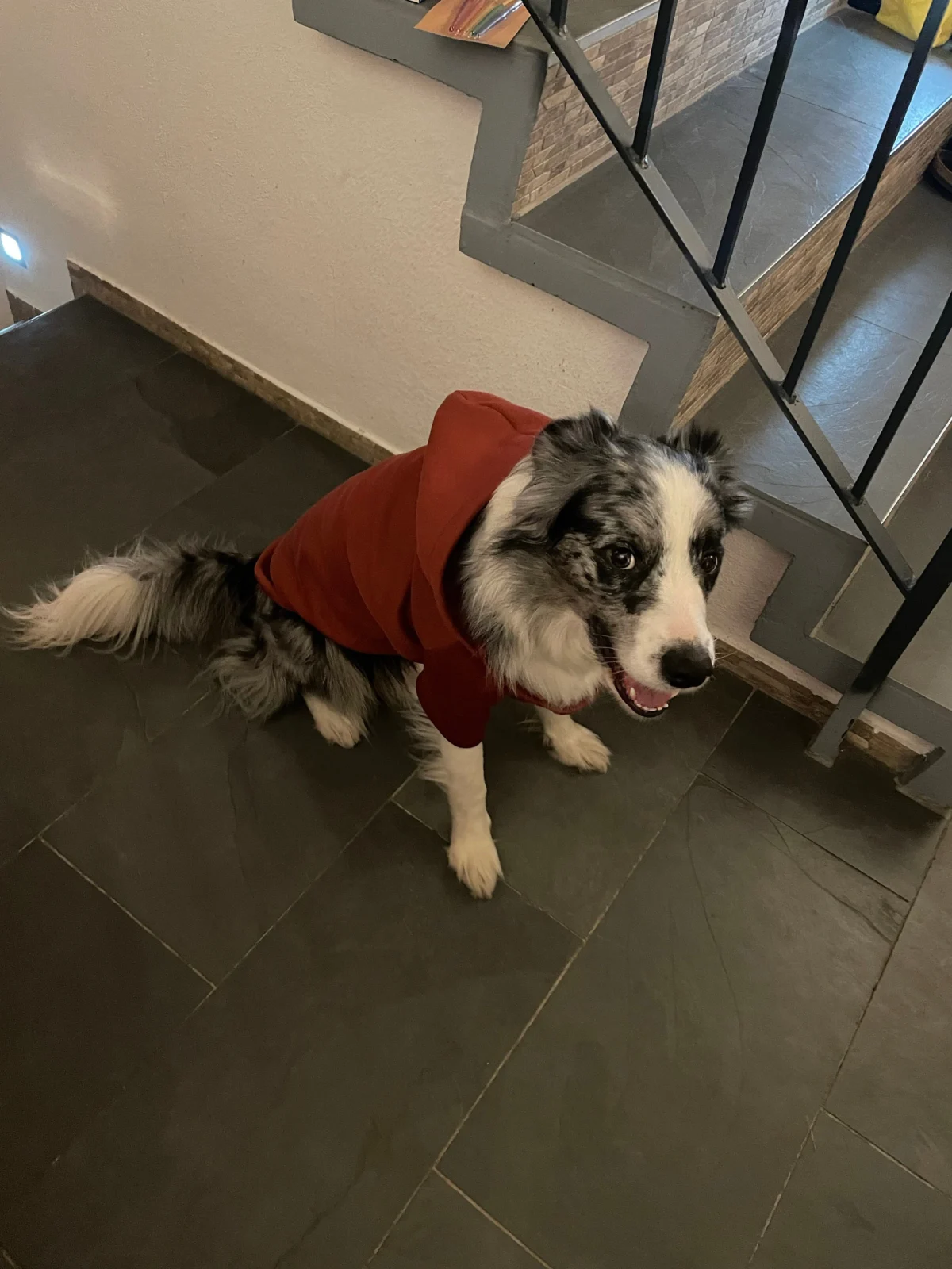 Ronja