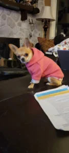 Linda