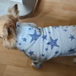 Sigrid